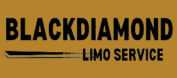 Premium Limo Service MSP – Travel in Style with Black Diamond