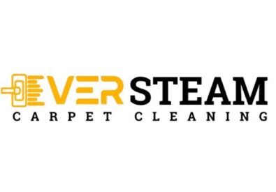 EVER STEAM CARPET CL...
