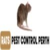 Rats Pest Control Perth