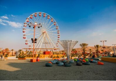 Liwa Desert Safari &...