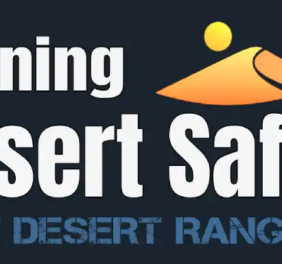 Evening Desert Safari