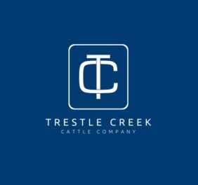 Trestle Creek Cattle...